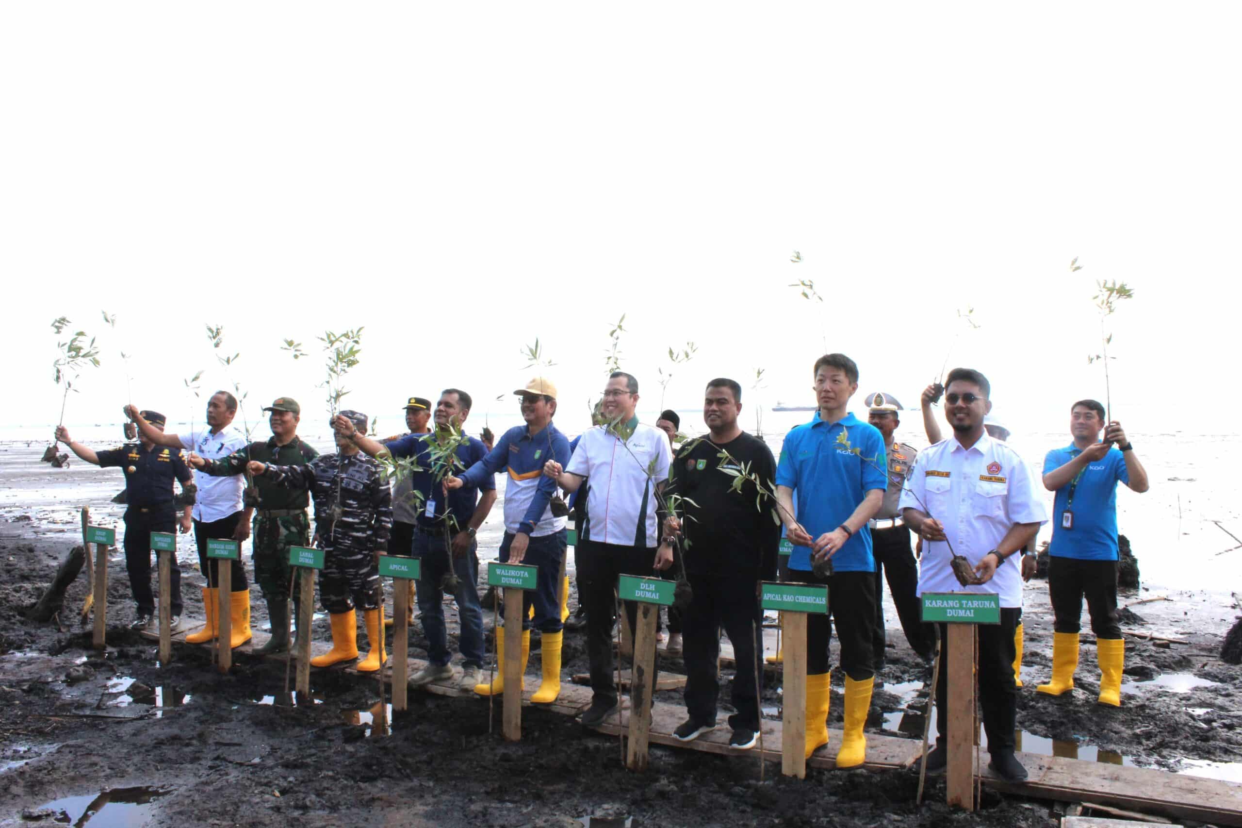 Apical Dumai Lakukan Aksi Penanaman 2000 Mangrove di Pantai Taisan